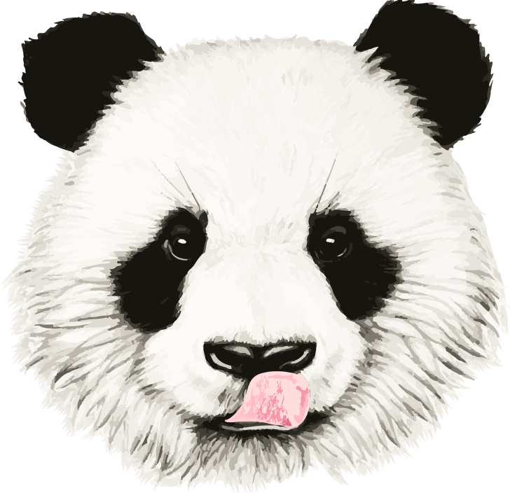 HeyPanda